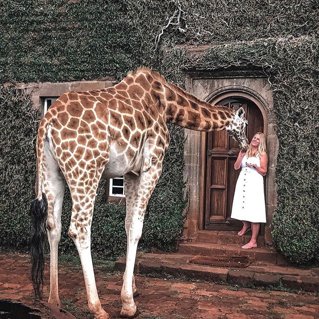 giraffe_manor_nairobi