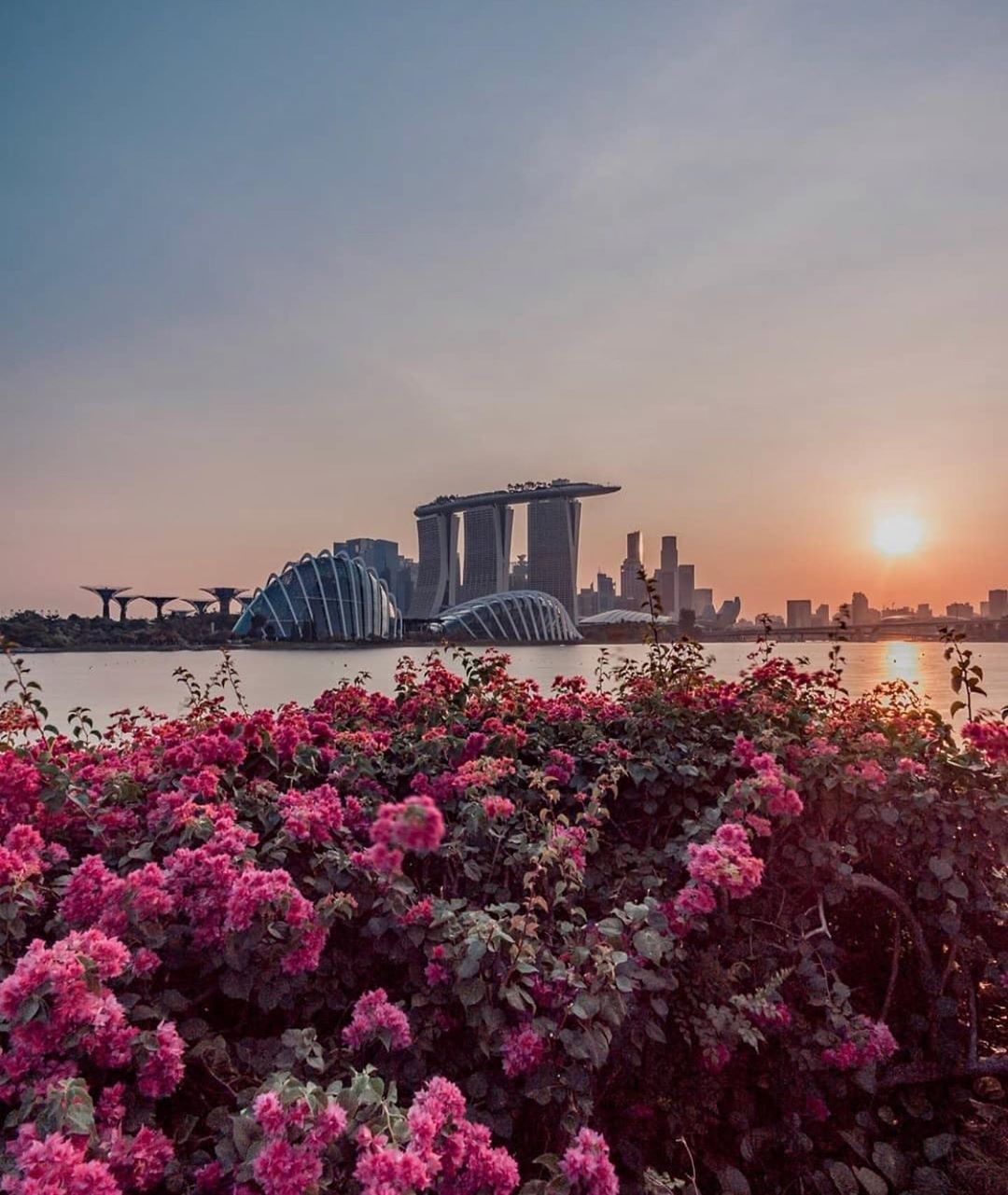 Marina Bay Sands | Hotels Above Par