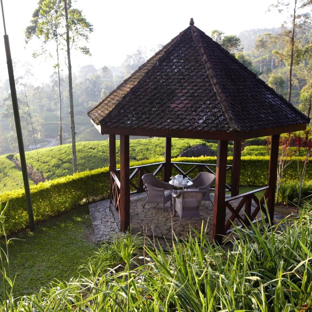 Ceylon Tea Trails: