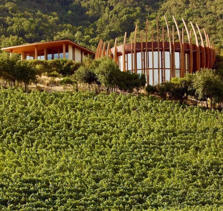 Magnificent Winery Hotels Around The World | Hotels Above Par