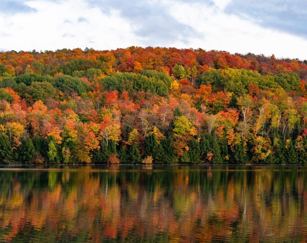 The Top Places + Boutique Hotels to Visit for Leaf-Peeping Season