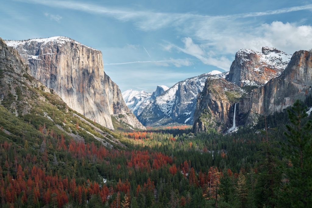 The Best National Parks to Visit in California