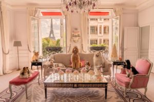 Hôtel Plaza Athénée and Gray Malin’s New Photography Series “Dogs of Paris” Is the Content You Need In Your Life