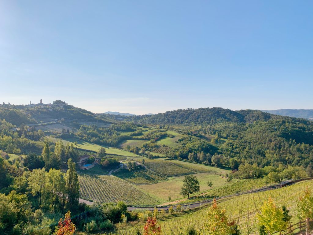 Aerial view of vineyards and grassy hills in Italy. 