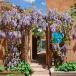 This Santa Fe, New Mexico, Hotel & Spa Is a Journey through the Senses
