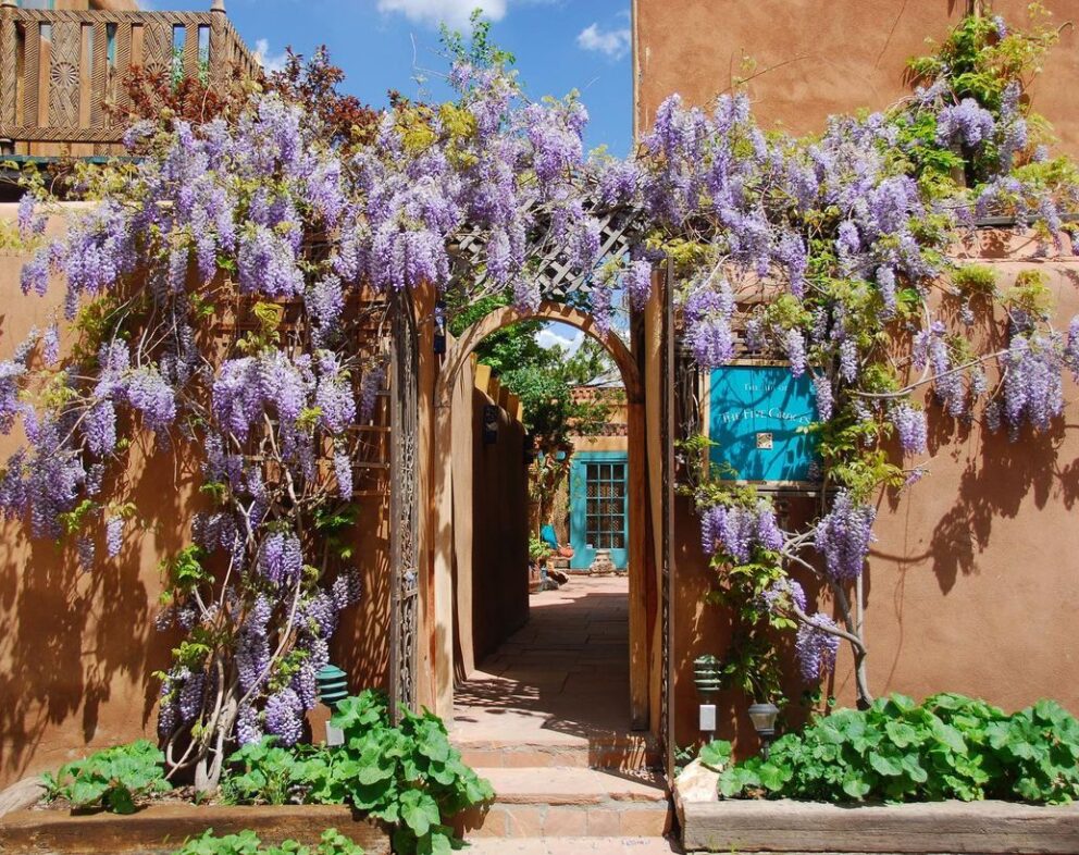 This Santa Fe, New Mexico, Hotel & Spa Is a Journey through the Senses