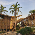 This Regenerative Eco-Resort in Mexico Uses Living Palm Trees in Every Room