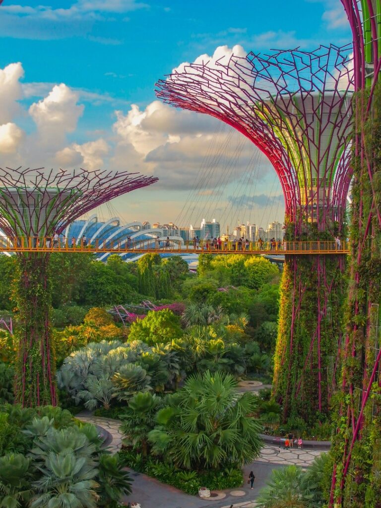 tourist things to do in singapore