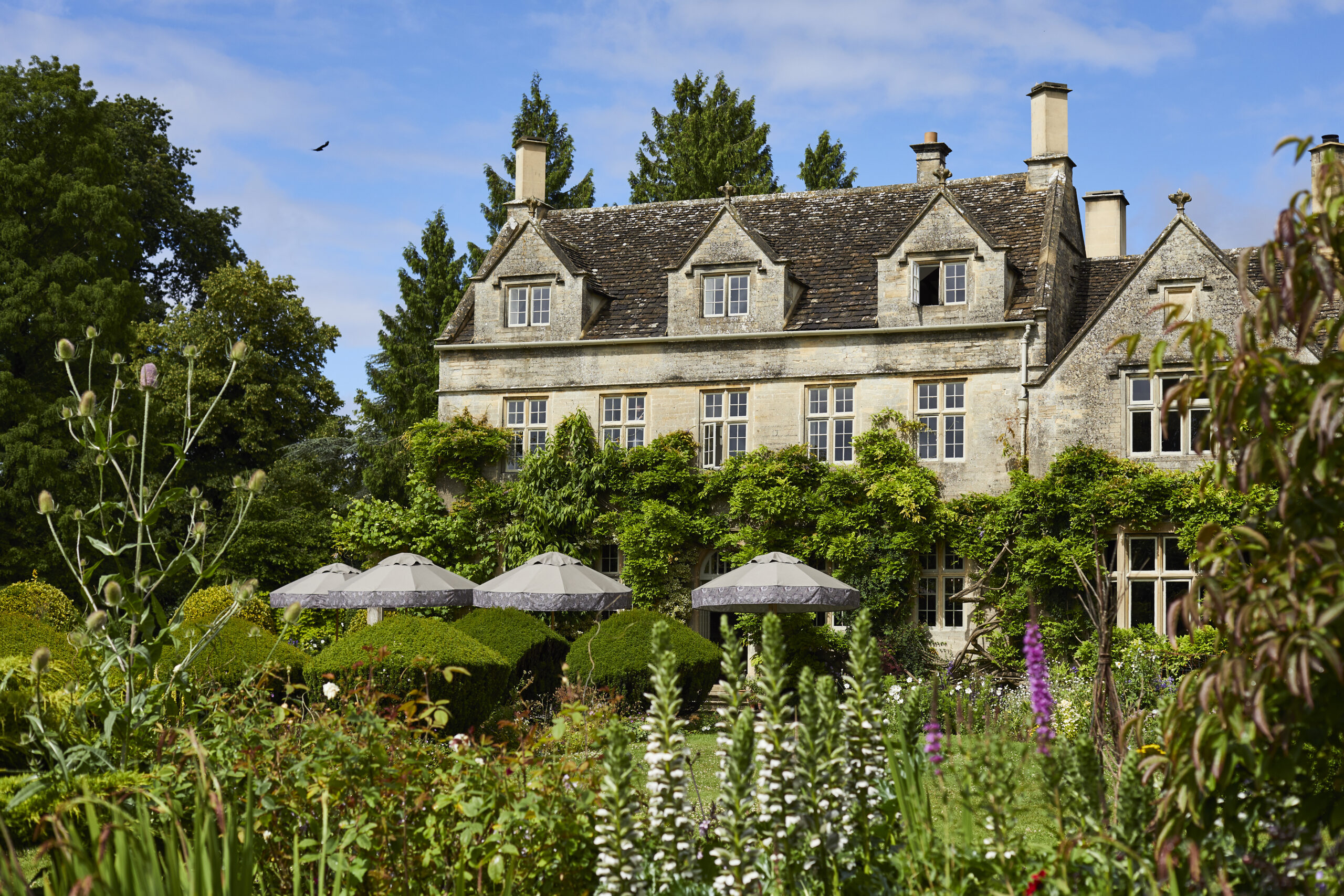 The Pig in the Cotswolds Is the English Countryside’s New “It Girl” Stay